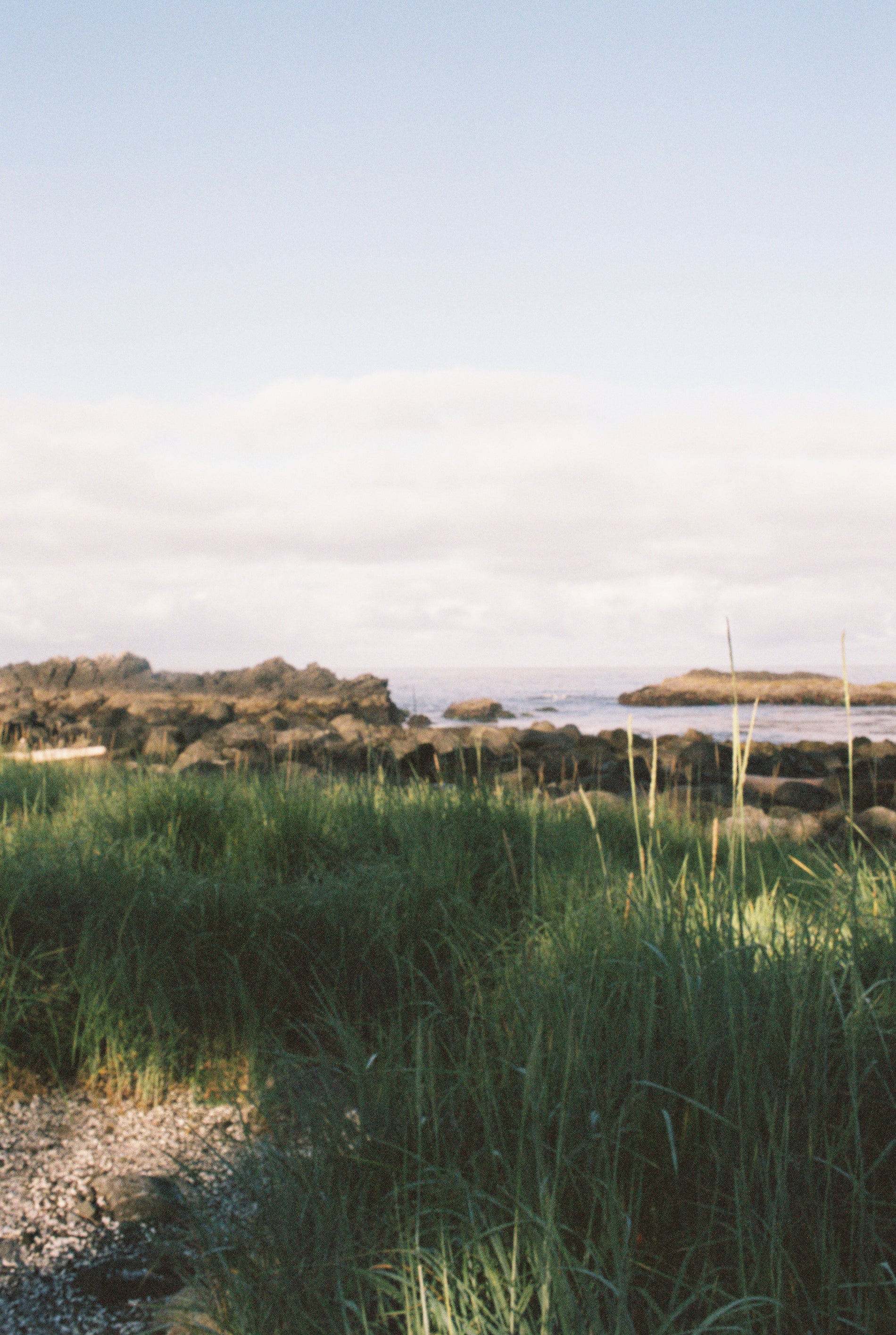 World Ocean Day Harbour Clean