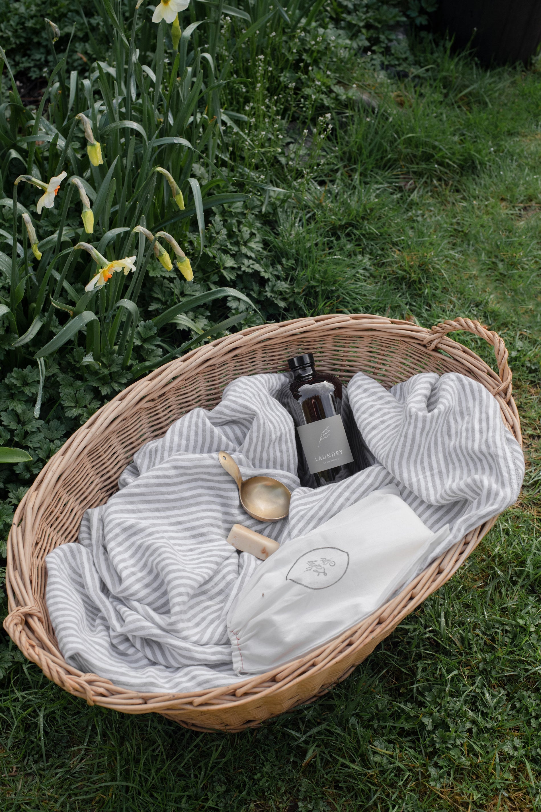 A Nontoxic Home is a Happy Home: The Secret to a Healthy, Harmonious Space