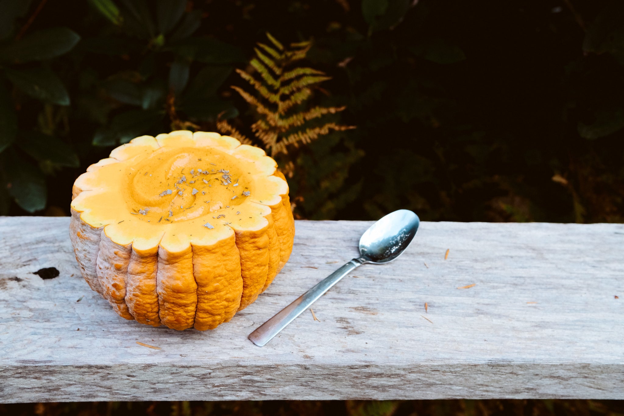 Repurposing Art Into Food: Charred Herb Pumpkin Soup