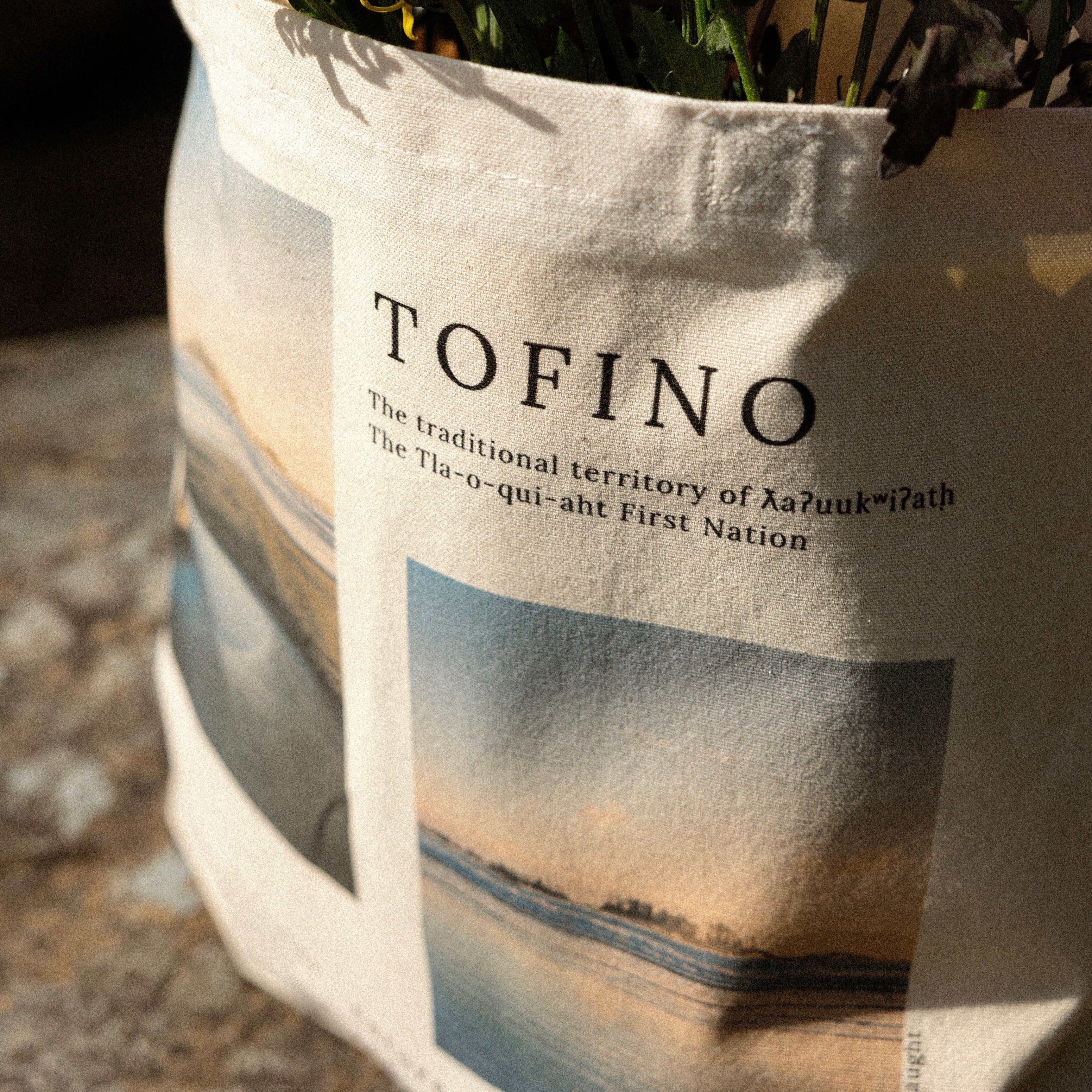 Canvas Tote Bags