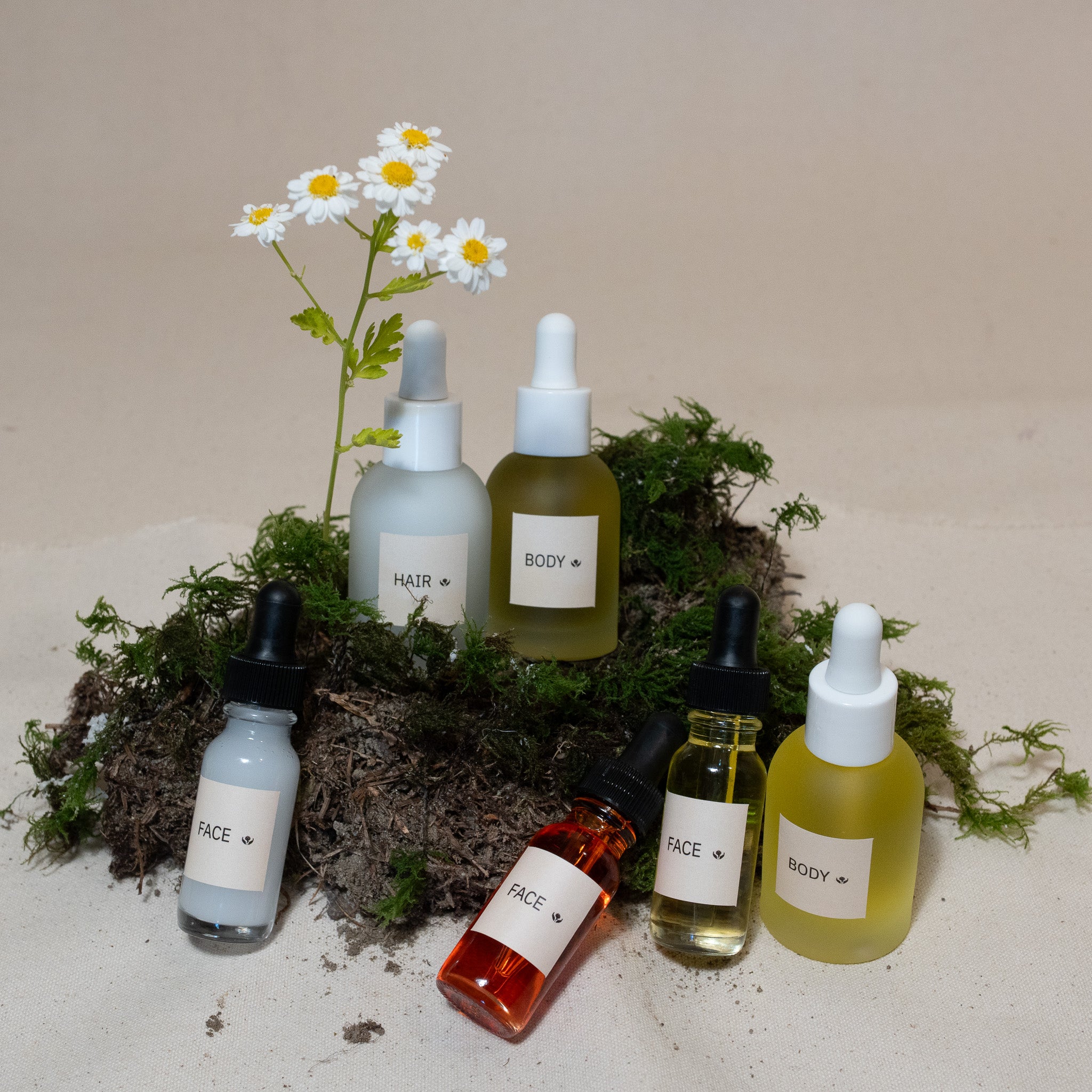 Complete Sample Set