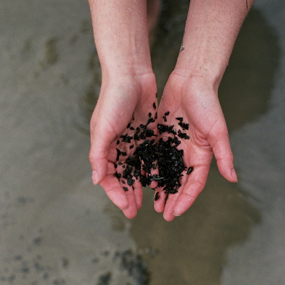 Seaweed Detox