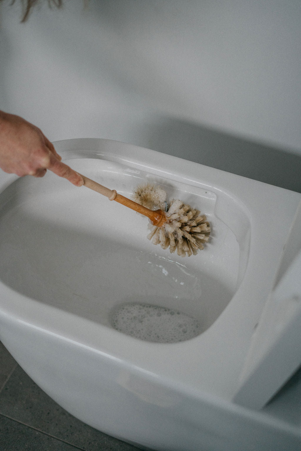 Toilet Brush
