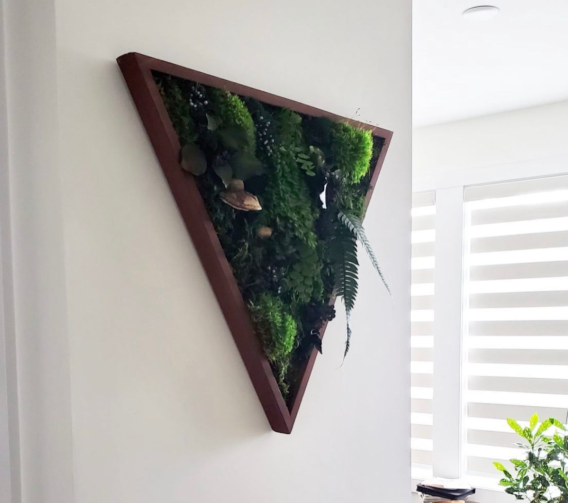 Preserved Forest Frames