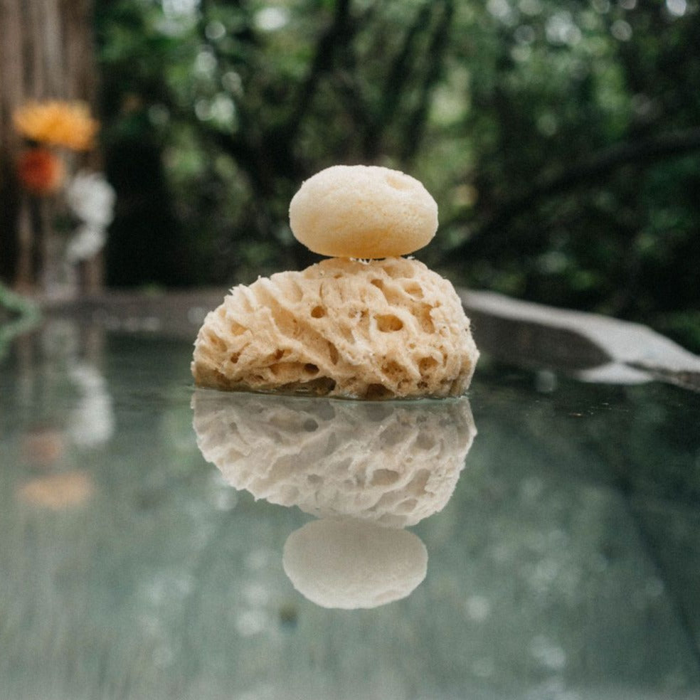 Natural Wool Sea Sponge XL