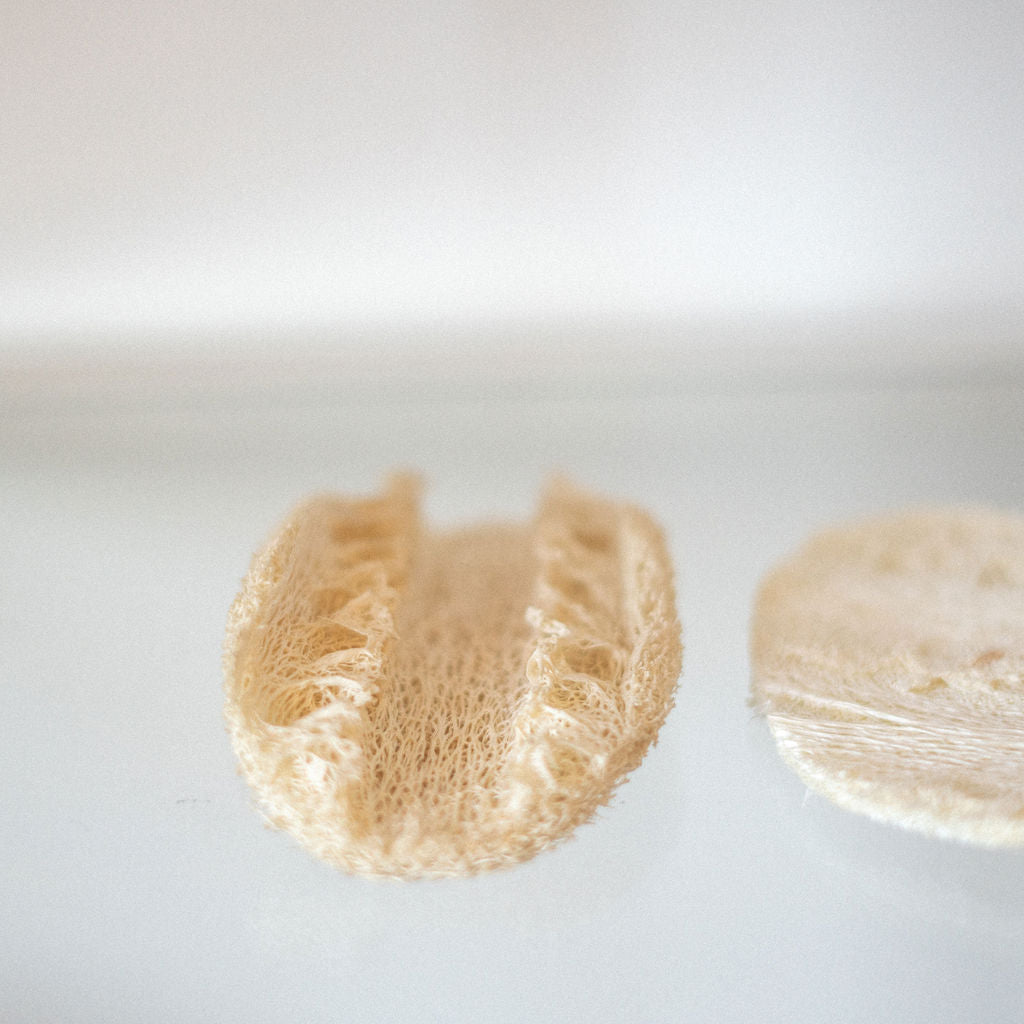 Eco Sponge