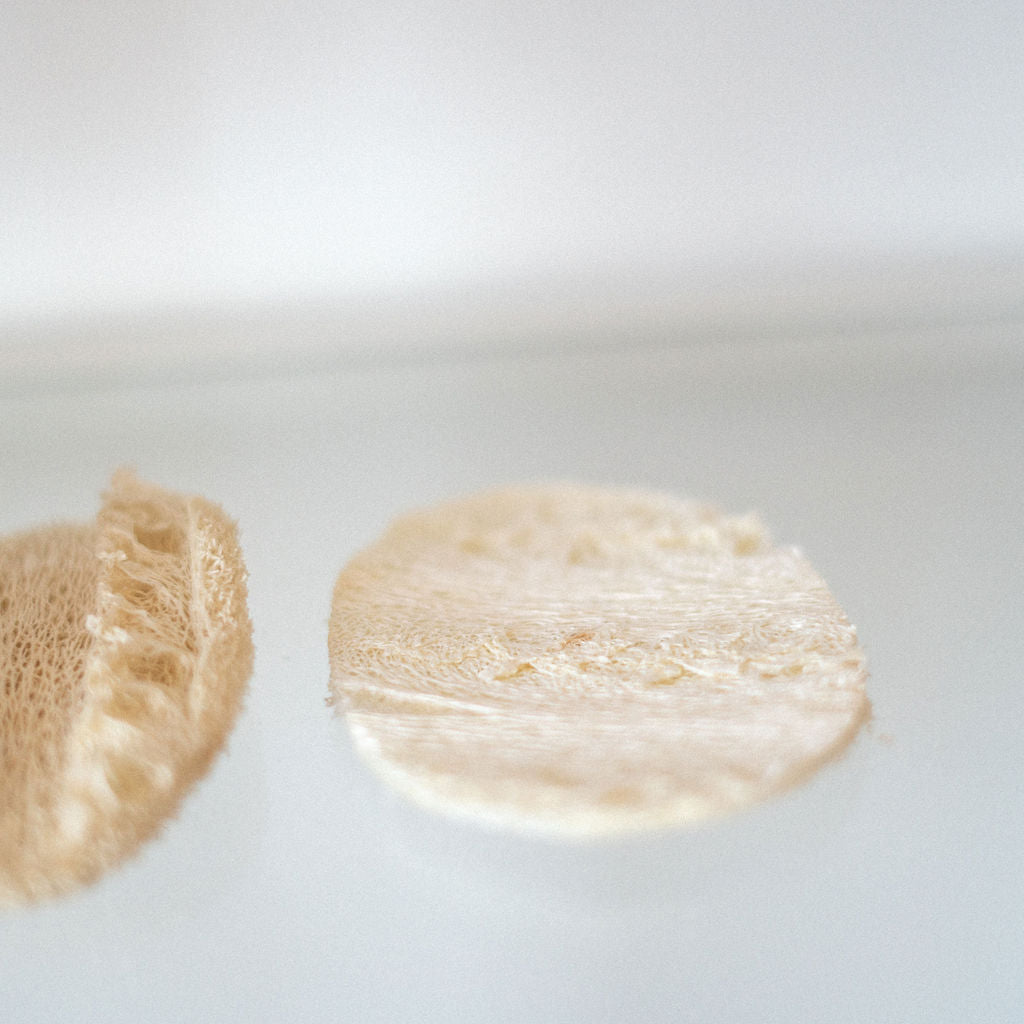 Eco Sponge