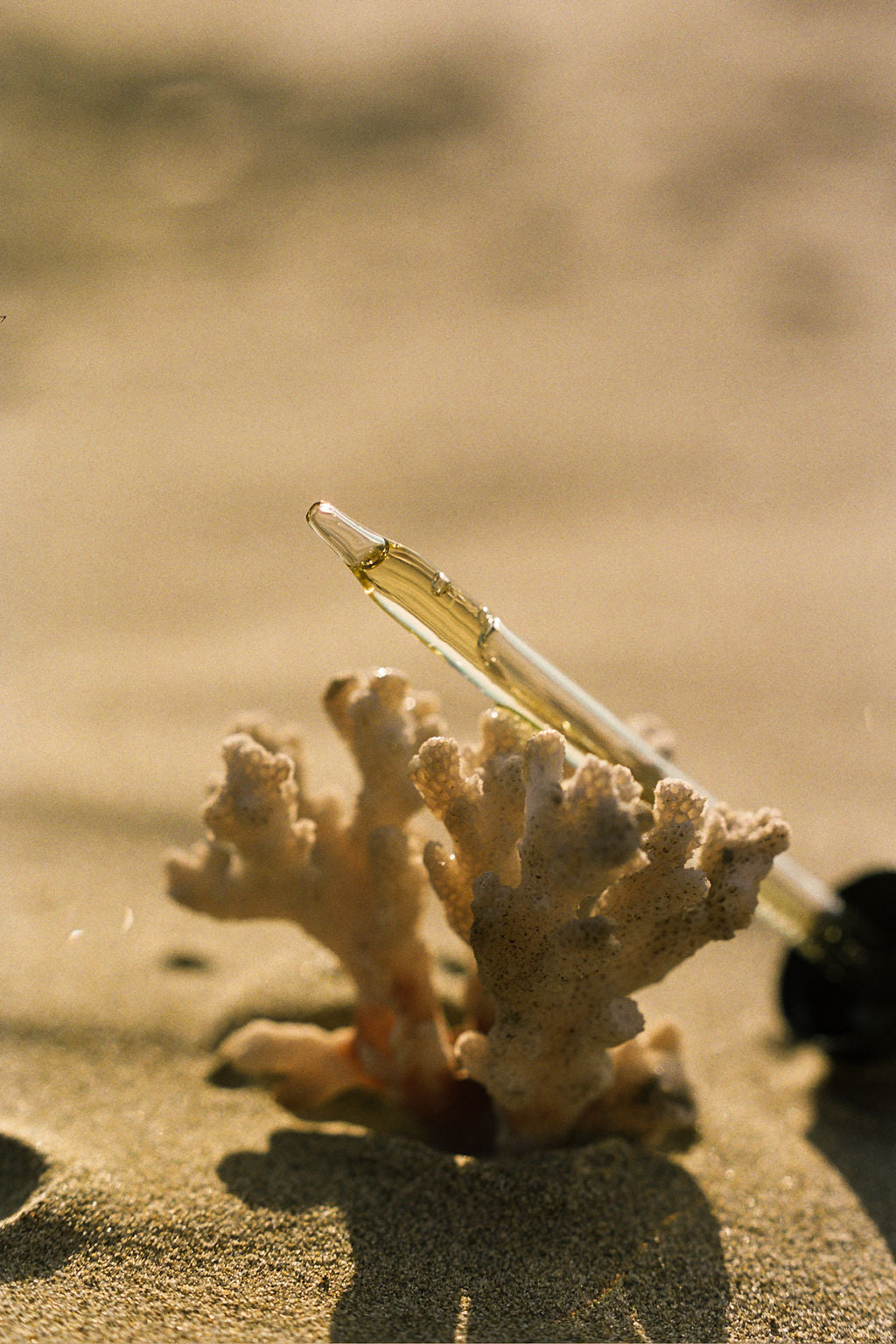 Our First In House Collection of Skin Care and Bath Products