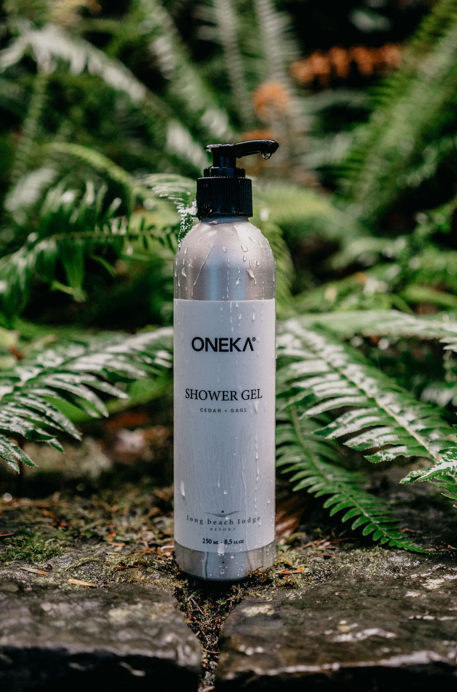 New Partnership with Long Beach Lodge Resort