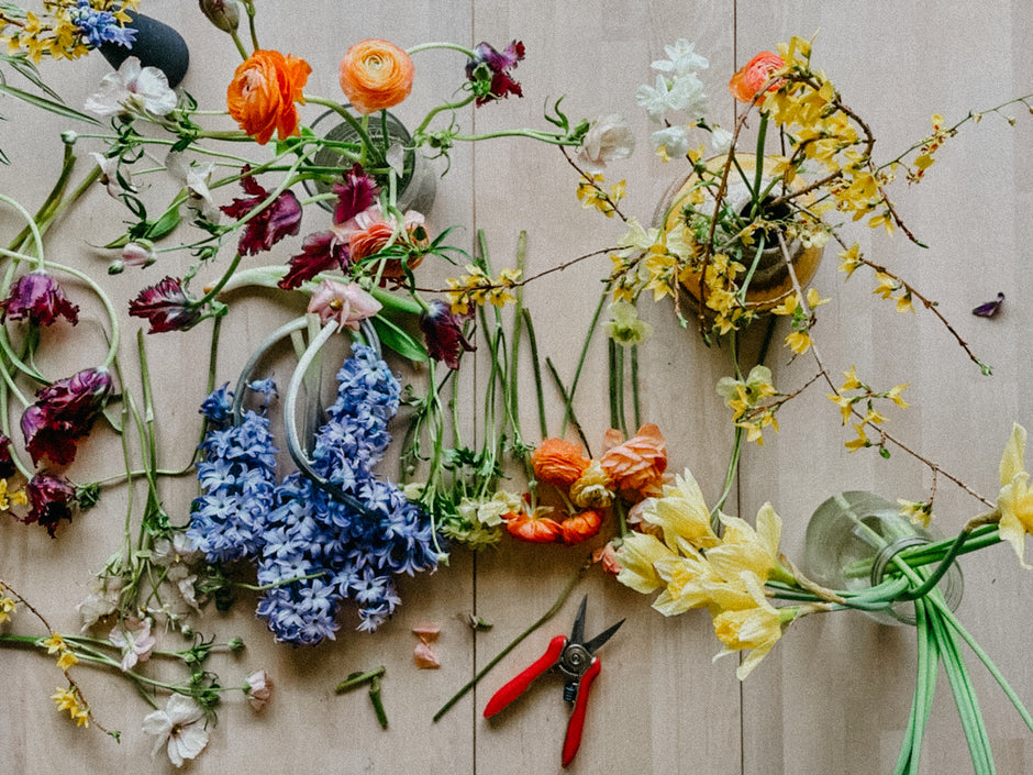 The Impossible Bouquet