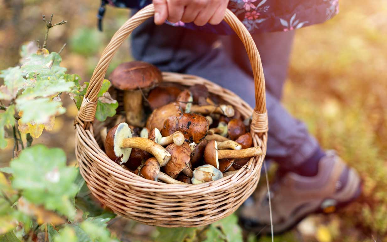 A Coastal Spin on Your Favourite Thanksgiving Side Dishes