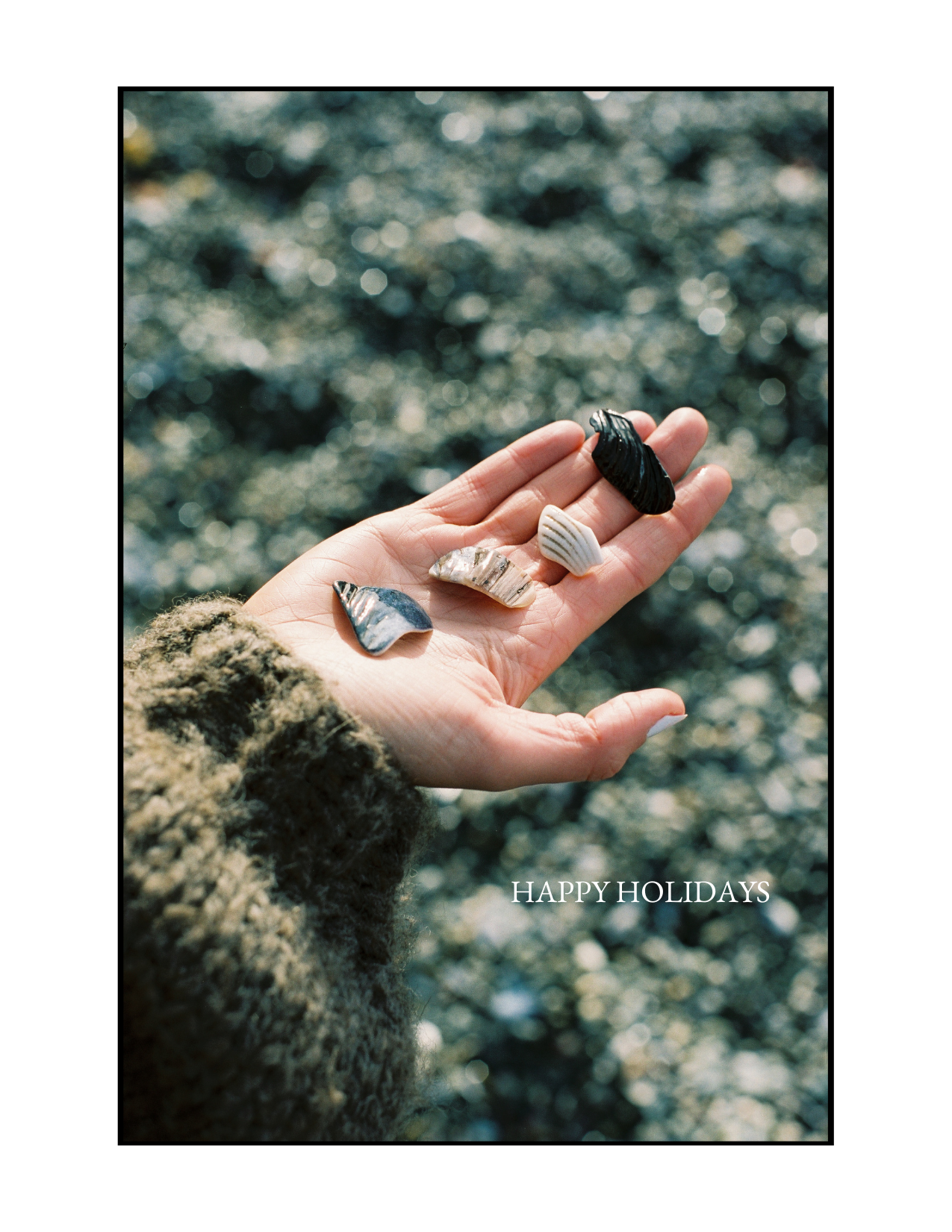 Film Photography Holiday Card