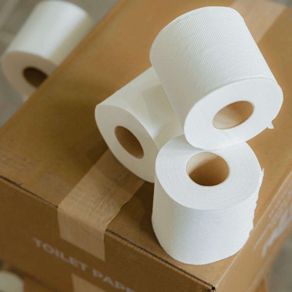 Roll Up 100% Bamboo Toilet Paper — Individual Rolls