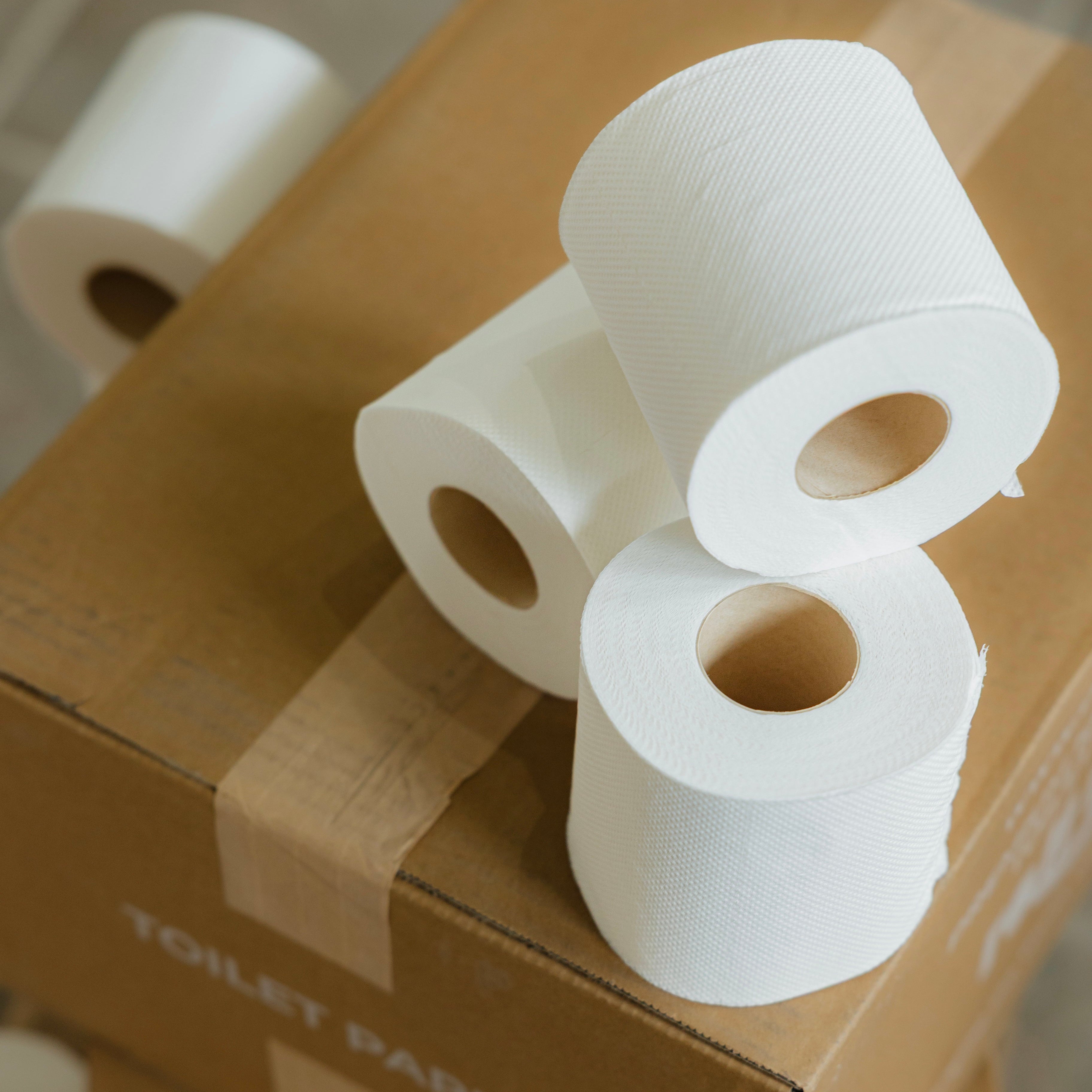Toilet paper rolls on cardboard Toilet Paper box