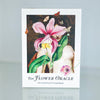 The Flower Oracle Deck by Ellen Freeman and Bethany van Rijswijk