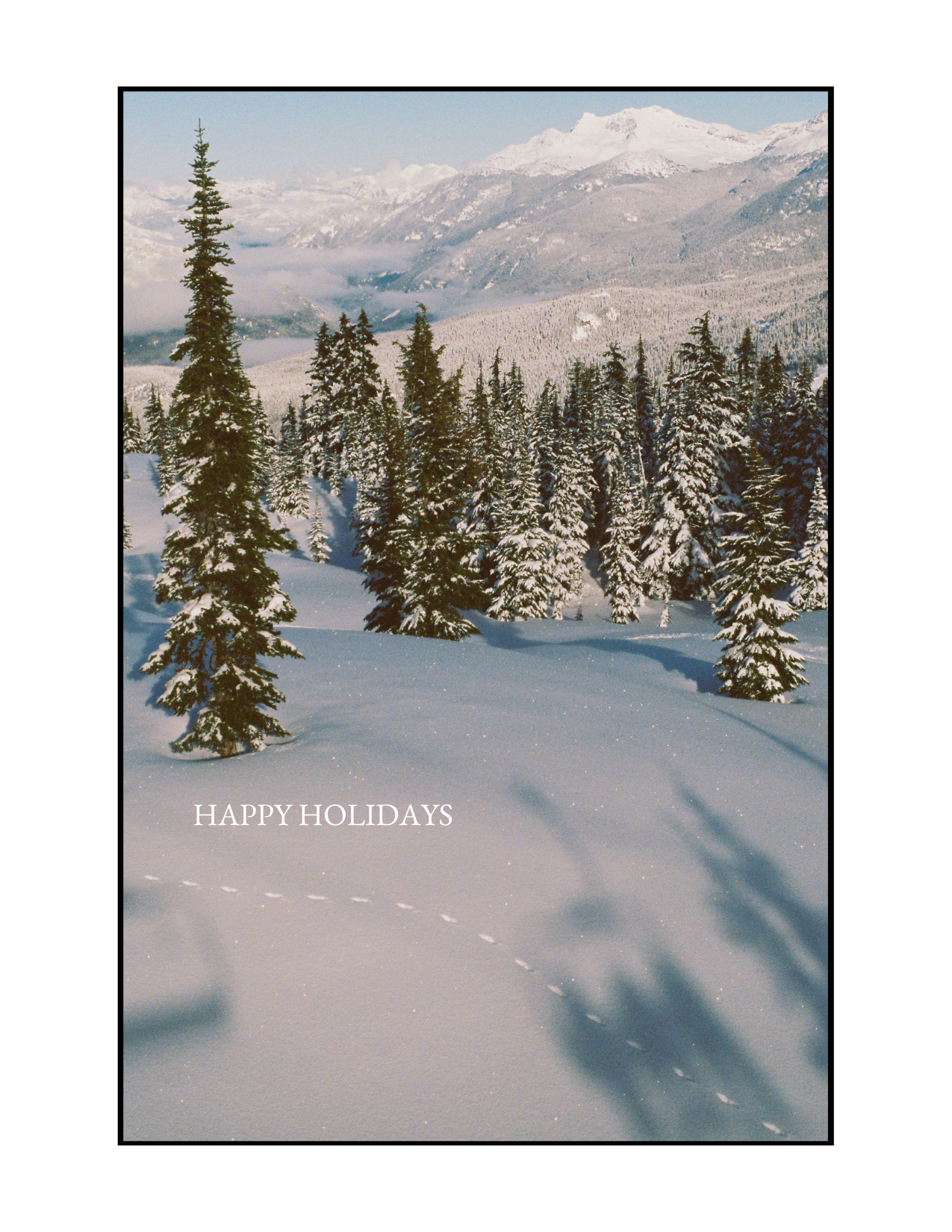 Film Photography Holiday Card