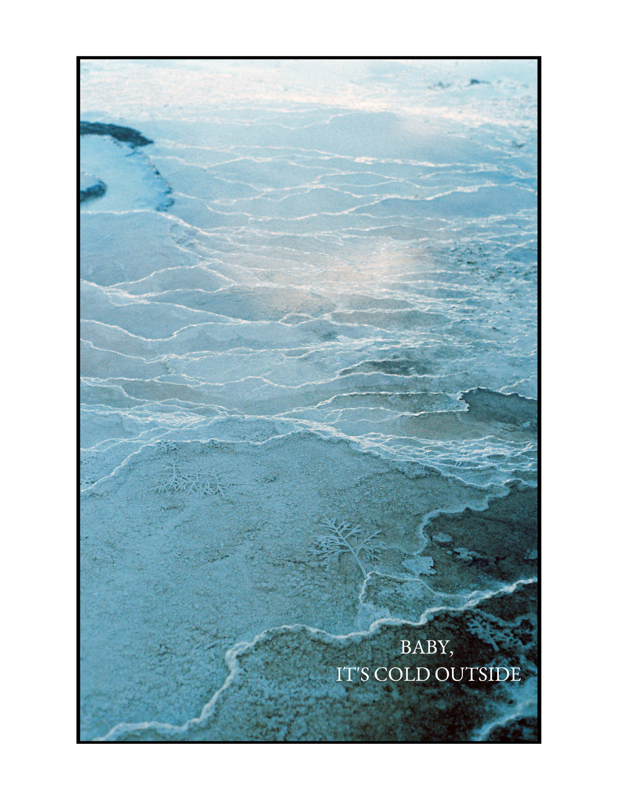 Film Photography Holiday Card