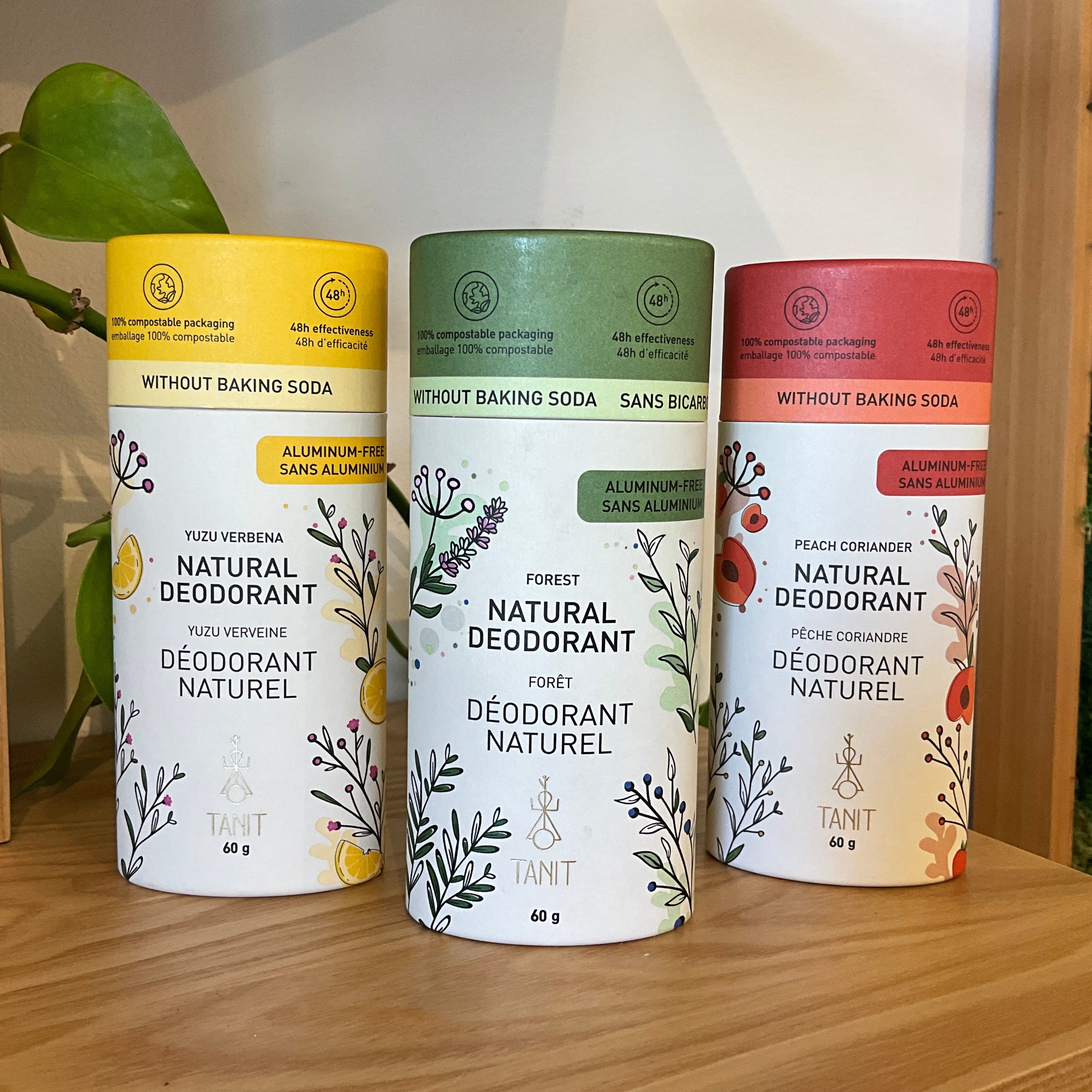Three cylindrical natural deodorant tubes standing on a wooden surface, with a white wall and indoor plants in the background. The left tube is yellow, the center tube is green, and the right tube is coral red.