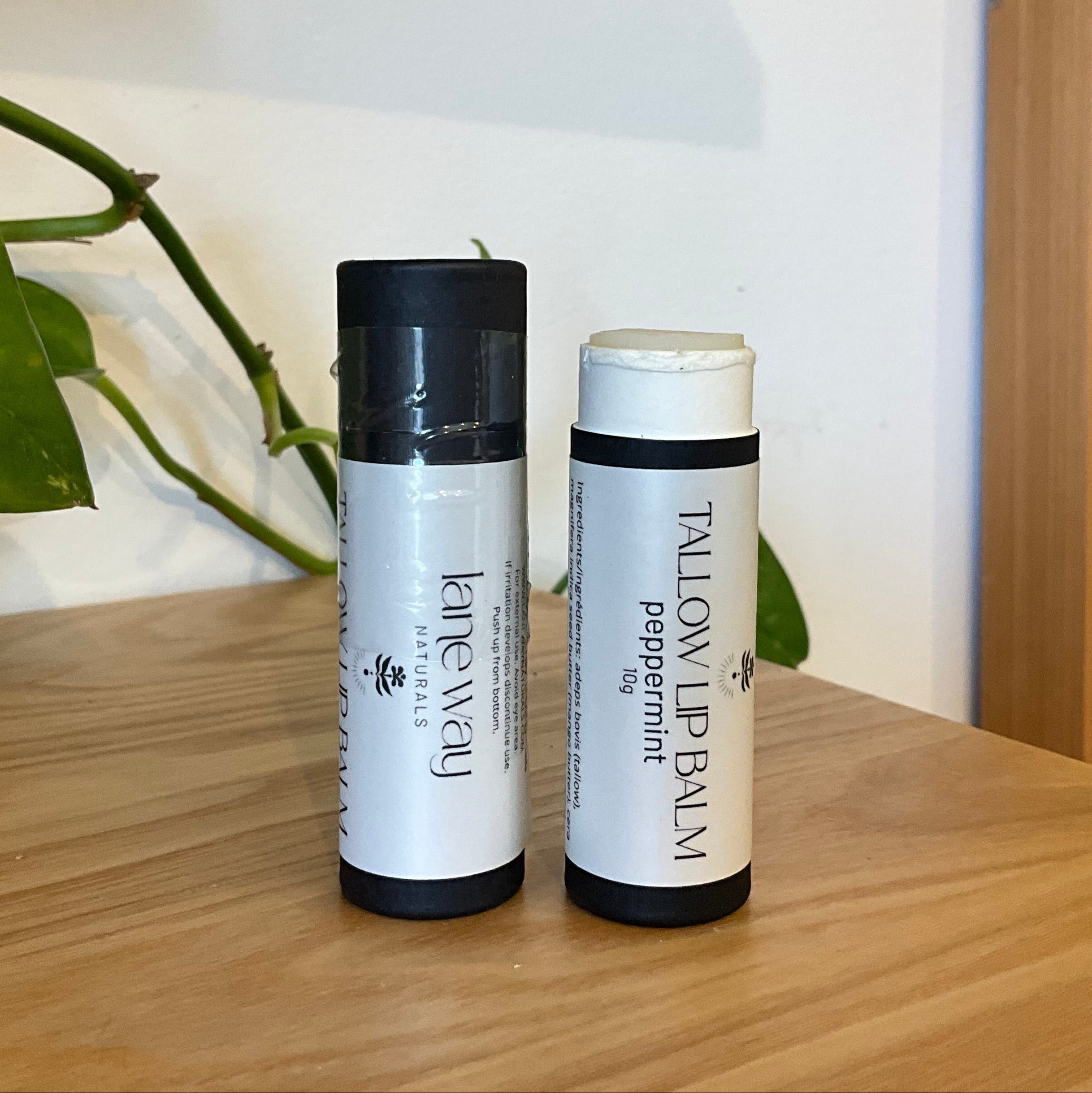 Two lip balm tubes standing on a wooden tabletop indoors, with a green plant on the left and a moss wall on the right. The labels read King Wenjia and Tall Lip Balm Peppermint.