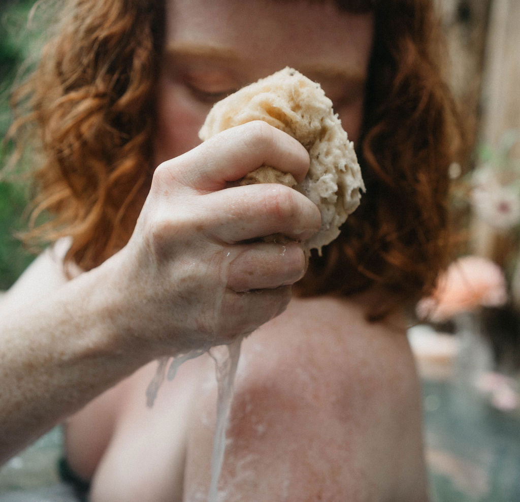 Natural Wool Sea Sponge XL