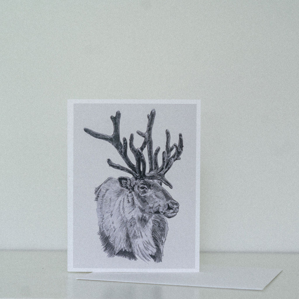 Wildlife Cards - Sarah Hammond