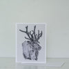 Wildlife Cards - Sarah Hammond