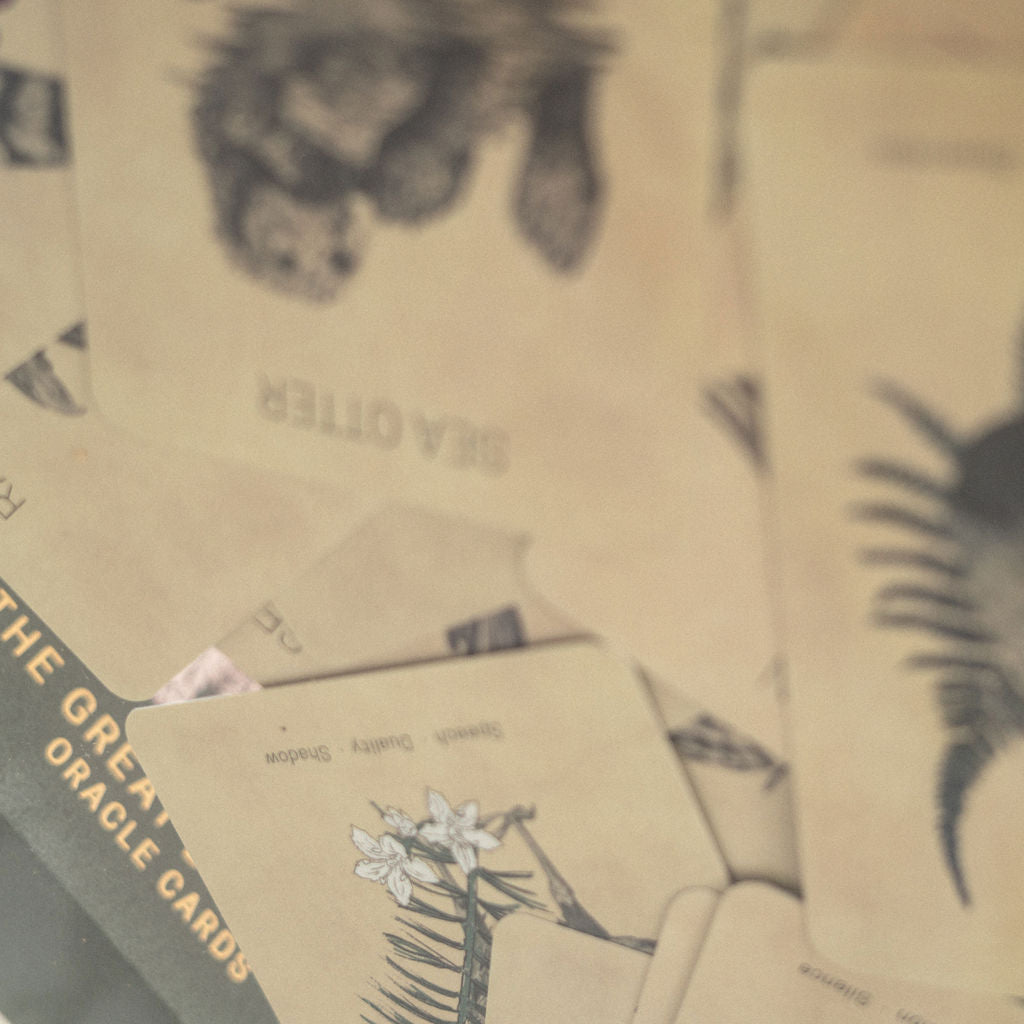 Great Bear Oracle Deck