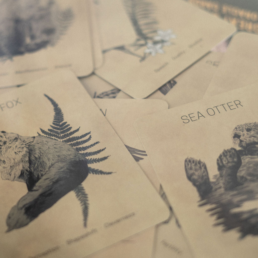 Great Bear Oracle Deck