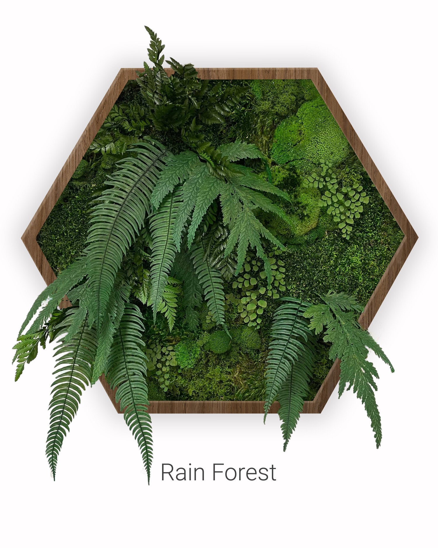 Preserved Forest Frames