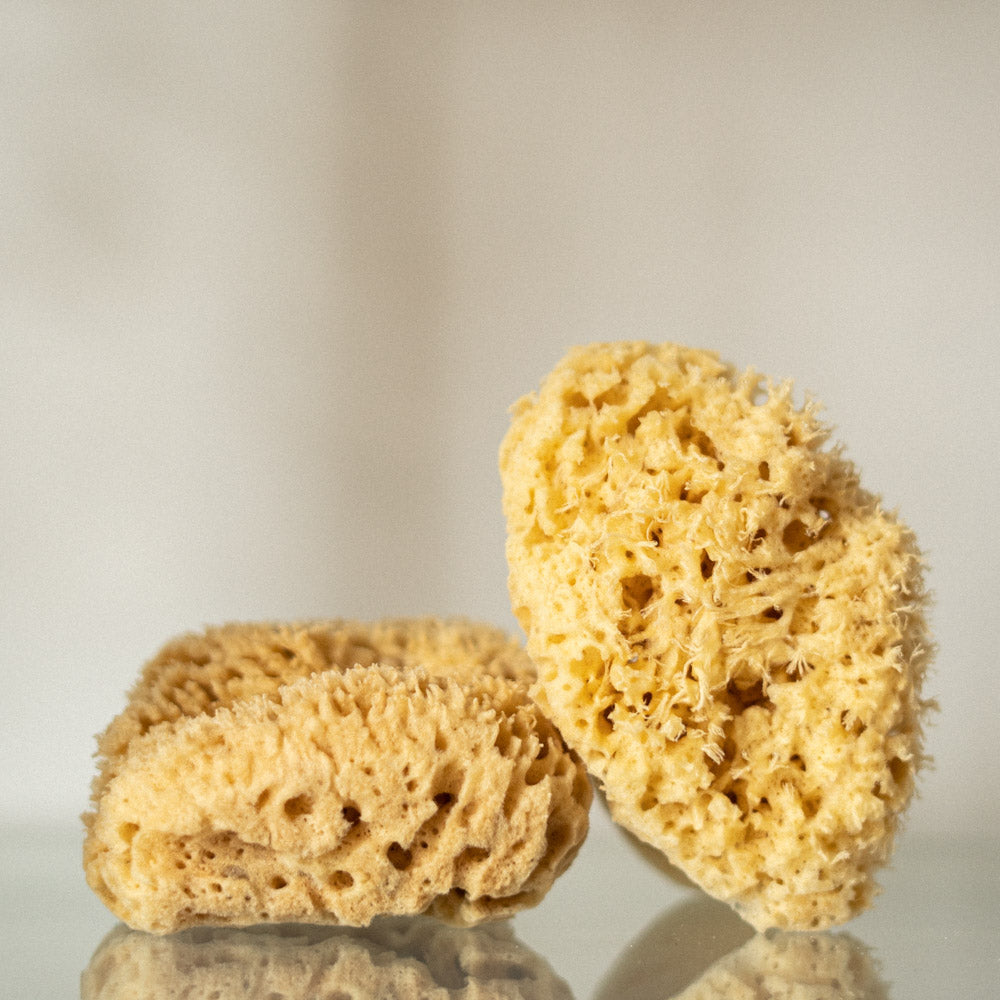 Natural Wool Sea Sponge XL